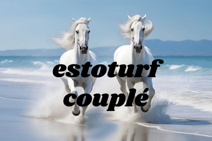 EstoTurf Couplé: Dream Yard Luxury